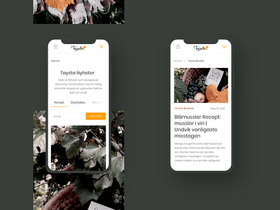 taysta mobile design minimal mobile photo ui ux web webdesign wine