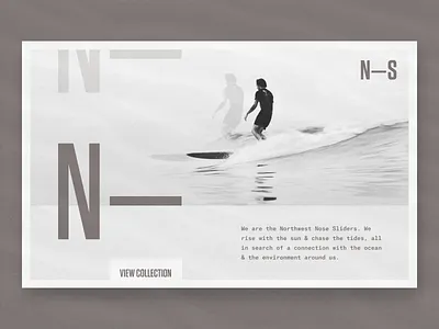 Nose Sliders Society // Concept Site color block color palette concept duotone flat grid homepage interface invision invision studio layout product design type typography ui web website