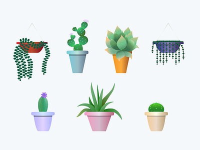 Succulents Set affinity affinitydesigner blossoms cactus cozy design garden illustration jungle leaf plant pot succulent succulents urban