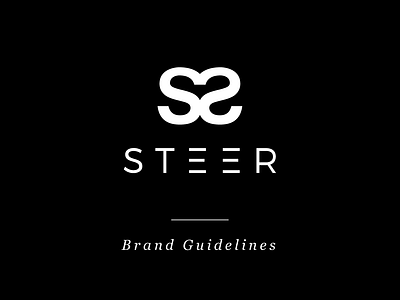 Steer Brand Identity beauty brand style guide branding business consulting cosmetics design ecommerce graphic design guidelines high end lettering logo luxury negative space parallel lines symmetry type typography upscale