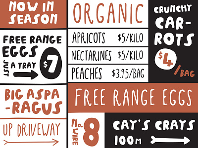 Frizzell Produce Road Sign dick frizzell font font design frizzell organic road type typeface typeface design typography