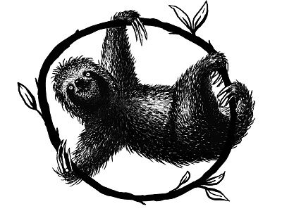 Sloth Drawing drawing handdrawn illustration photoshop sloth texture