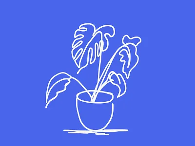 Plant Contour contour drawing illustration leaf leaves lines linework plant plant illustration pot vector