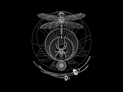 Inktober Day 15 - Weak art cintiq digital dragonfly geometric illustration inktober inktober2018 spider spiderweb weak witchy