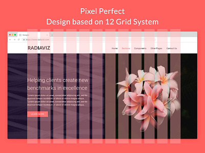 Radiaviz animation art direction branding design icon illustration logo minimal motion graphics responsive responsive design responsive layout typography ui ux vector web website wireframe wireframe design