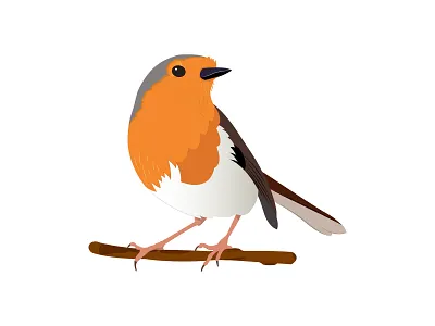 Kızılgerdan bird bird illustration istanbul kızılgerdan turkey vector