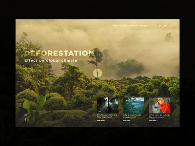 Landing vol.2 - Rainforests clean design environmental design landing landing page design landinginspiration minimal design modern nature web design rainforest simple design typography ui webdeisgn website