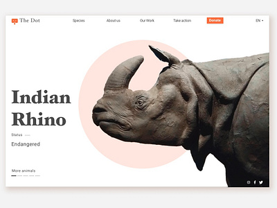 Endangered animals animals barcelona berlin design designer edition endangered header minimal nature photography photoshop rhino rhinoceros sketch app ui user experience user interface ux web