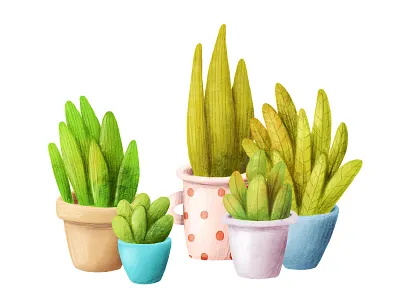 Set of home plants art cartoon design green illustration plunt spotted