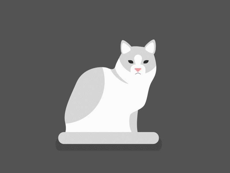 Ragdoll Cat animation cat design illustration nature ragdoll