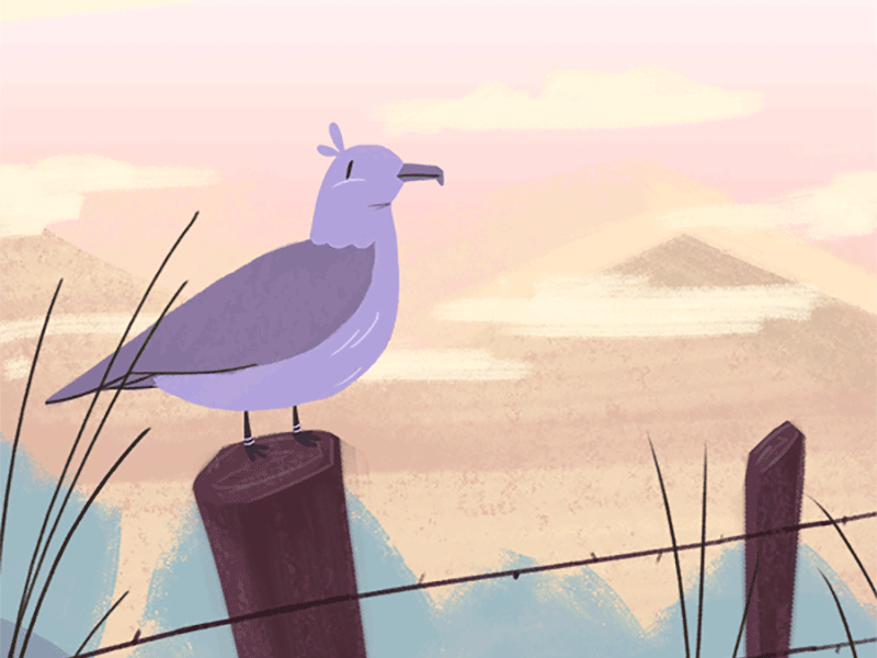 On the fence 2d 2d animation animal animation frame animation frame by frame illustration photoshop