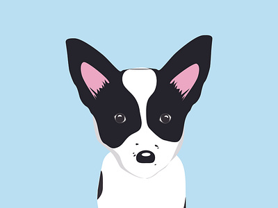 Coconut The Borgi design dog illustration vector