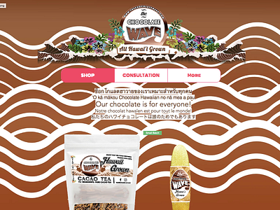The Chocolate Wave Website Design adobe blogging branding content creation copywriting creative design digital marketing identity design logo product design product development seo smm typography web design wix