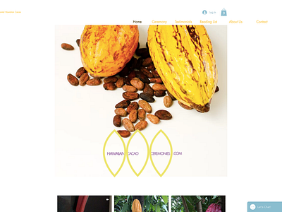 Cacao Ceremony Website adobe blogging brand and identity branding content creation copywriting creative design design digital marketing icon identity design logo photoshop product branding product design product development seo smm web design wix