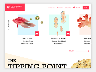 Coral Reef Project Homepage branding design sketch ui ux