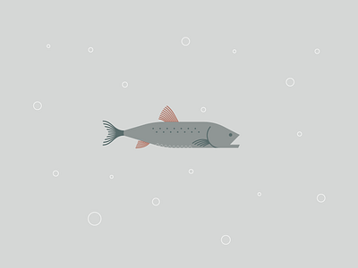 Freed Fish fish illustration swim trout water