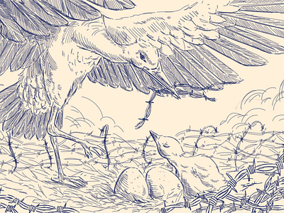 Overprotected barbed wire birds childhood crosshatching eggs feathers motherhood nest parenthood stork