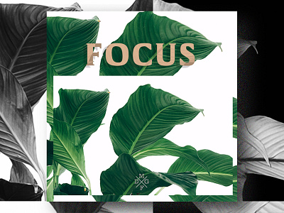 Focused design focus green minimalism