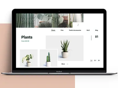 Mammillaria Plants – E-commerce Website design e commerce e commerce design flat landing ui user interface design user interface ui ux web