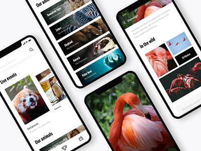 Zoo app animal app ui zoo