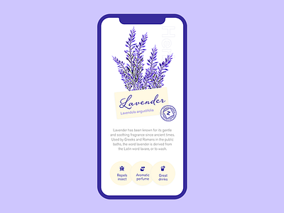 Beautiful Thursday challenge #6 design flower herb mobileapp ui uichallenge