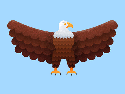 American Eagle 2d american animal art baldeagle bird brown creative eagle flat grain illustration yellow