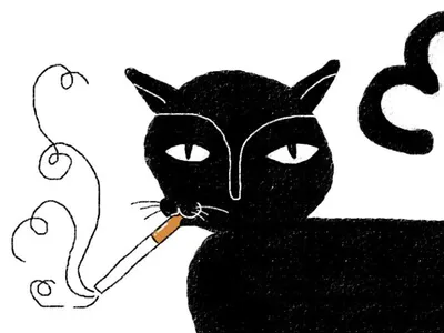 0001 cat cat drawing cat illustration drawing illustration