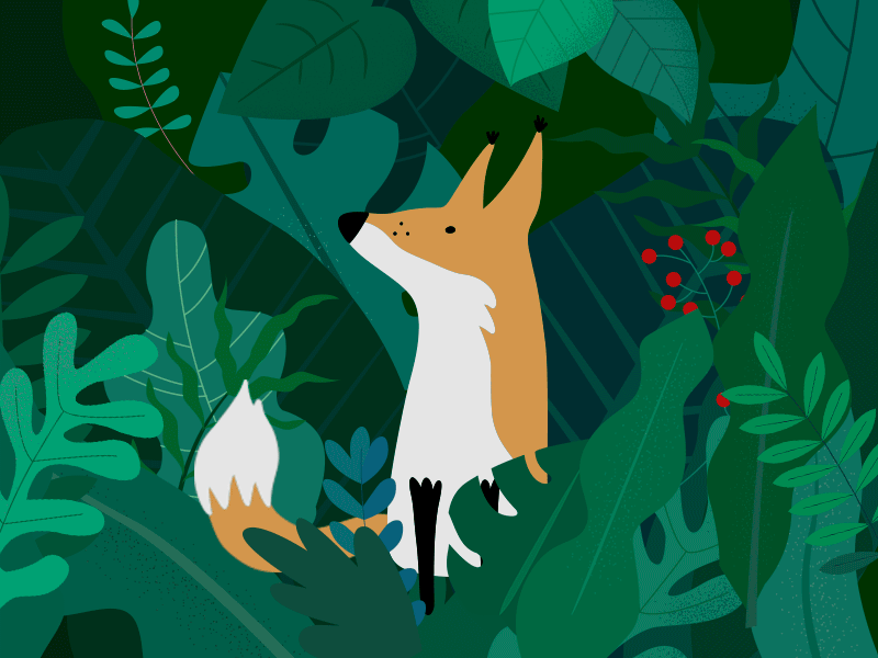 Fox Jungle Dribbble animal animation branches design flat foliage forest fox gif green illustration jungle leaves trees vector