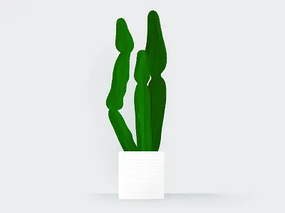 My Plants: Dugtrio cactus euphorbia illustration plant plants procreate