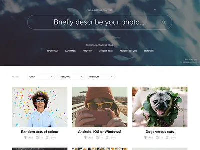 web UI ui
