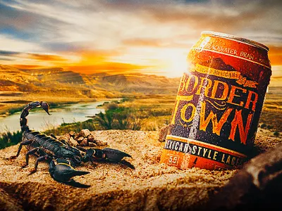 Bordertown beer beer can branding illustration product type typography