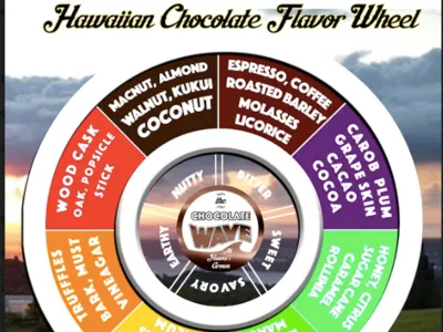 Hawaiian Chocolate Flavor Map adobe cs brand and identity branding content creation creative design design digital marketing identity design illustrator logo photoshop product development seo smm