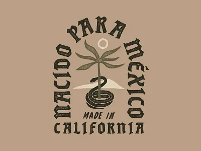 Design for Calidad Beer art artwork branding design direction graphic graphicdesign illust illustration lettering logo packagedesign packaging type typography vintage