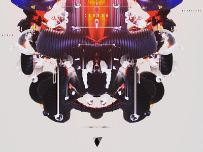 Bones & gears