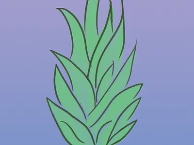 Screen Shot 7.15.12 Pm