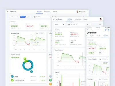 Finance App interface design ui ux