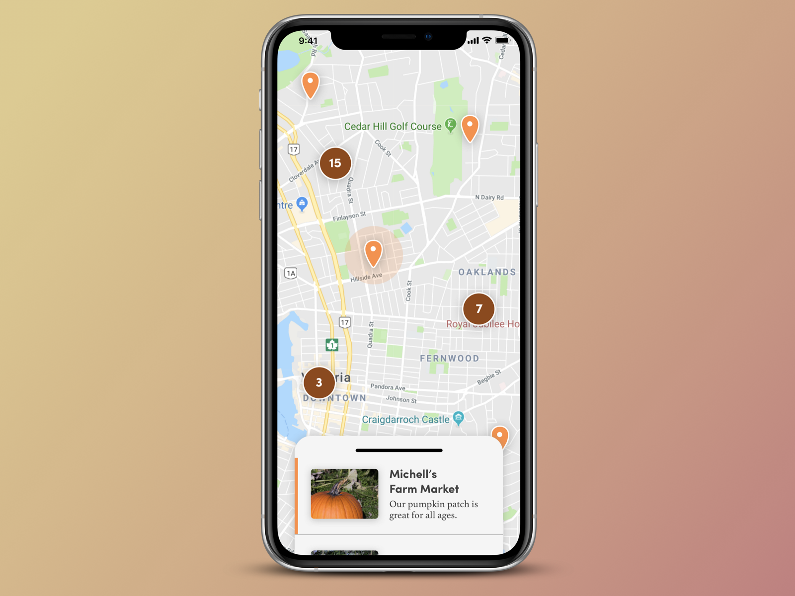 Example of Map view