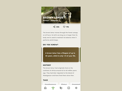 Dribbble Debut! #1 Zoo App animal discover ui uidesign zoo