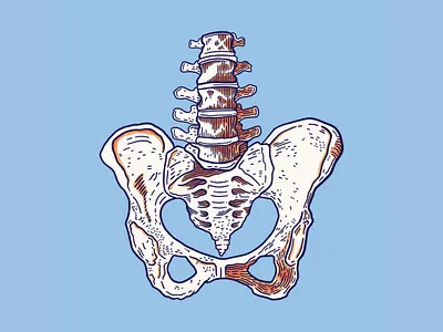 Pelvis, Inktober Day 12 bones creepy drawing drawlloween illustration inktober inktober 2018 ipad pro pelvis procreate