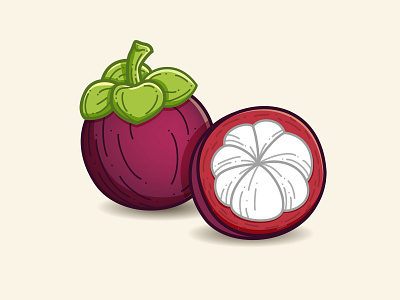 Mangosteen exotic food fruit icon illustration manggis mangosteen tropical fruit vector