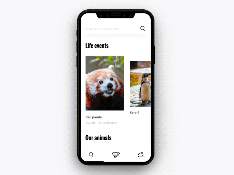 Zoo App animal animation app ui zoo