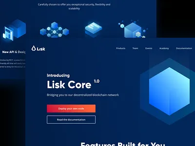 🔷Lisk Core blockchain crypto decentralized illustration lisk product taikonauten ui ux website