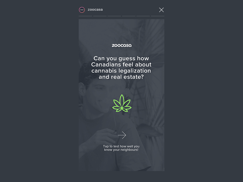 Interactive IG Story — Dispensary Stigma bold branding bright dark flat icon illustration infographic instagram instagram story interaction design layout poll report statistics stats survey user ux vector