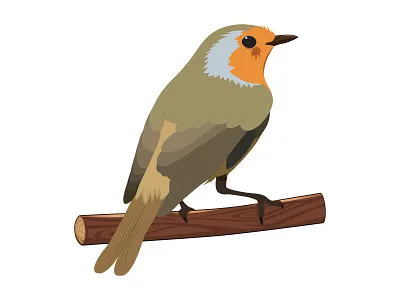 Çalıkuşu bird bird illustration istanbul turkey vector vector art