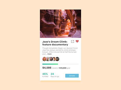 Daily UI 032 / Crowdfunding Campaign 032 campaign crowdfunding daily100 dailyui dailyui032 dailyui32 fundraiser minimal ui user interface