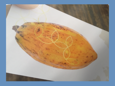 (International) Cacao Ceremony Business Card adobe brand and identity branding content creation creative design design digital marketing icon identity design illustration logo photoshop product branding product design product development seo smm typography web design wix