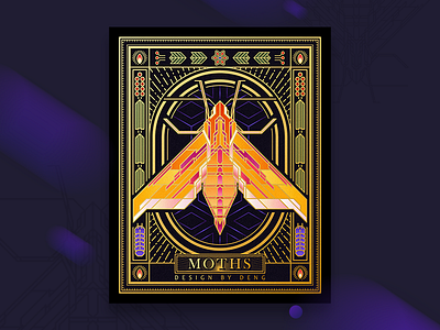 象天蛾 insects