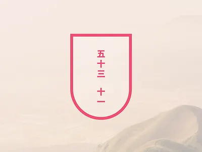 53x11 五十三 十一 53x11 cycling illustration illustrator logo typography