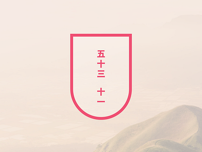 53x11 五十三 十一 53x11 cycling illustration illustrator logo typography