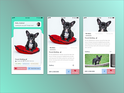 Pet Adoption Matchmaking app - Design Exploration app card conceptual design dribbble matchmaking pet ui user experience user inteface user interface user interface design